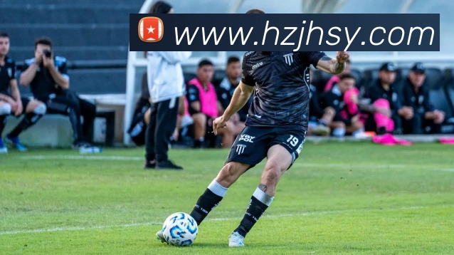 登录器